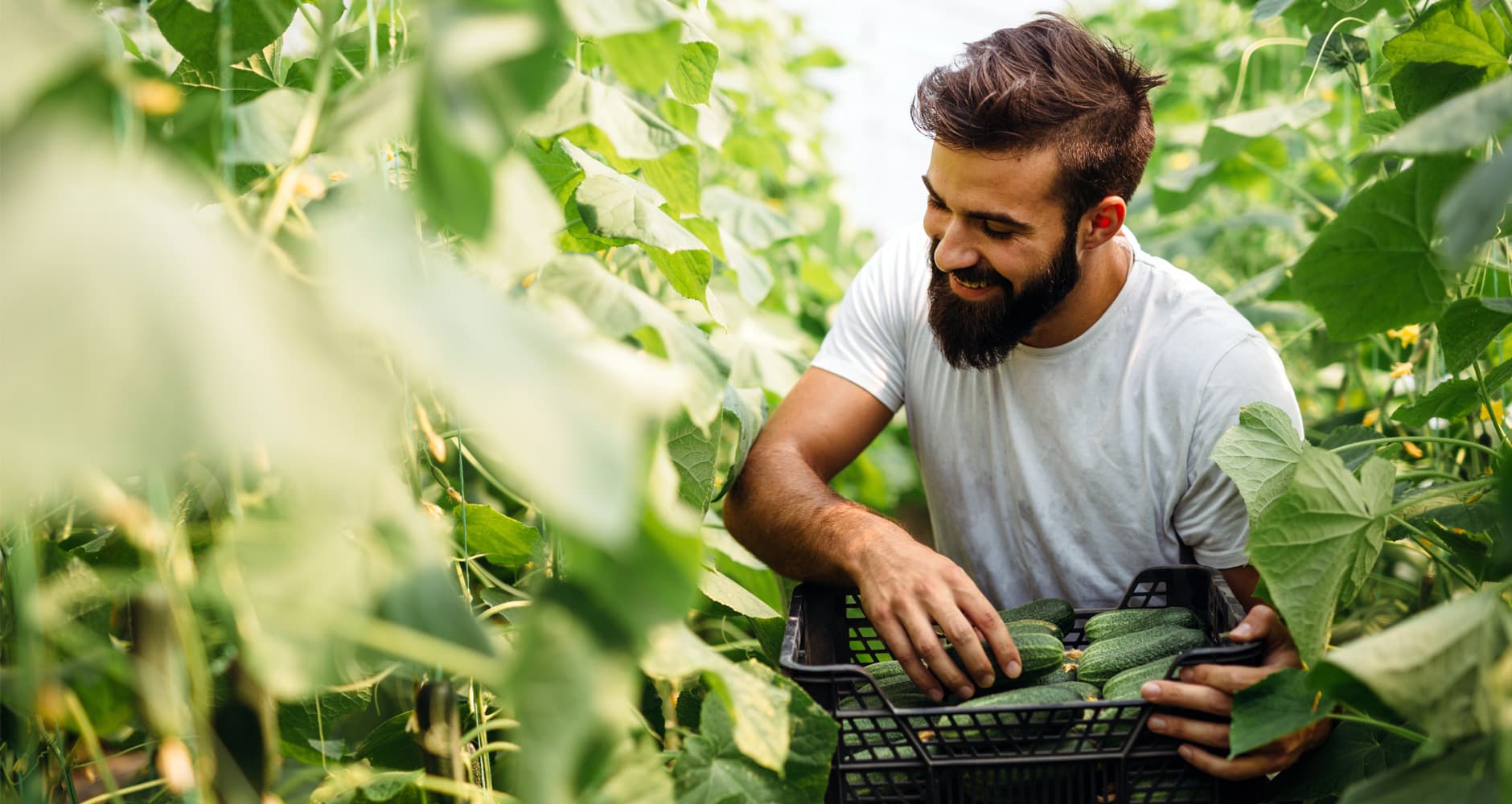 Certified Organic What Does The Label Mean? Farmers' Almanac Plan Your Day. Grow Your Life.