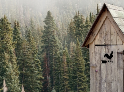 Why Are There Holes In The Doors And Other Fun Outhouse Trivia featured image