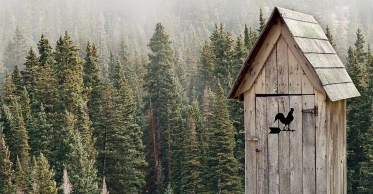 Why Are There Holes In The Doors And Other Fun Outhouse Trivia 