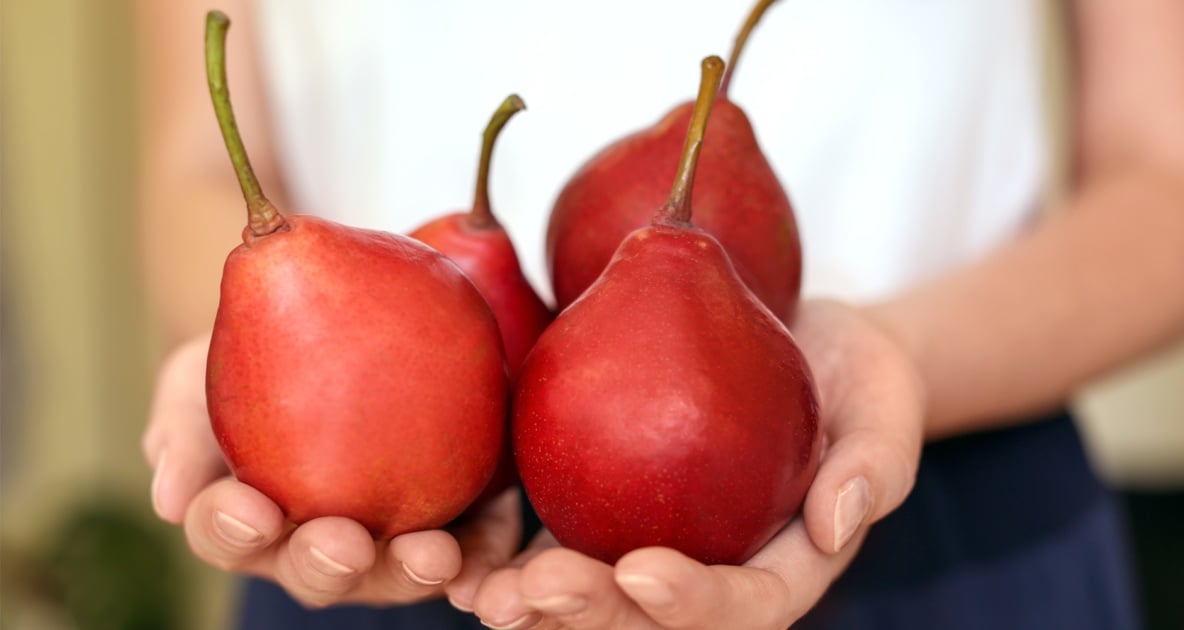 Pear - Stock photography