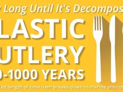 How Long Until It’s Gone? Estimated Decomposition Rates of Plastics featured image