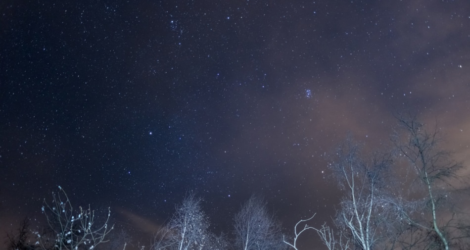 Pleiades start appearing in night sky above snow covered trees.