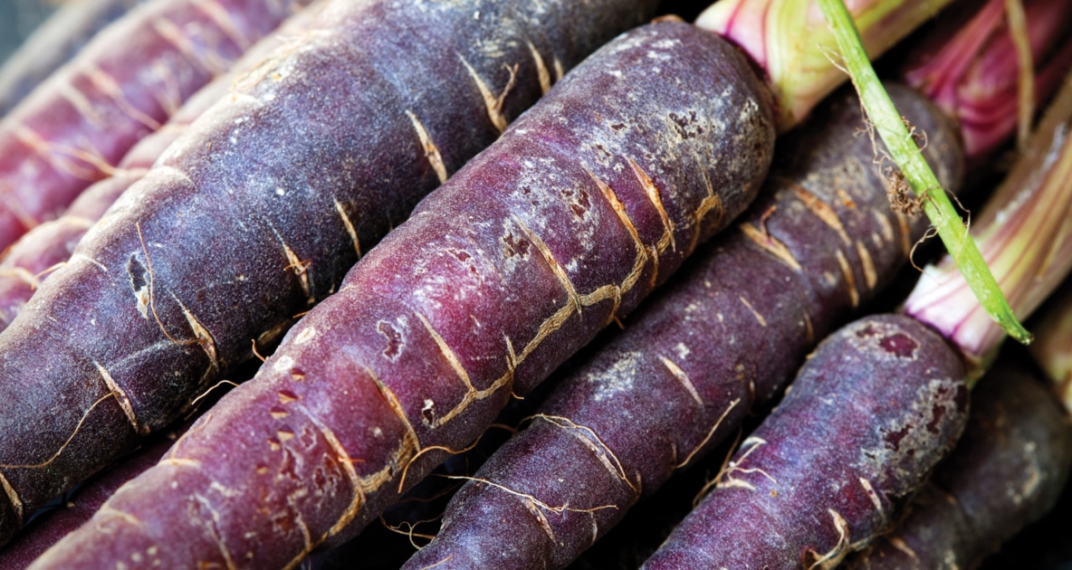 Stock photography - Vegetable