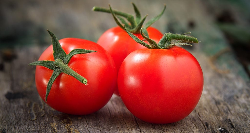 Tomato - Vegetable