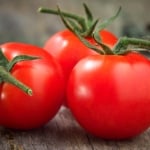 Tomato - Vegetable