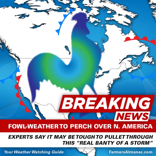 Graphic design - North America