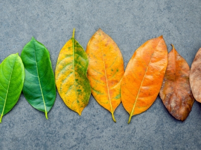 How Do The Seasons Change? featured image