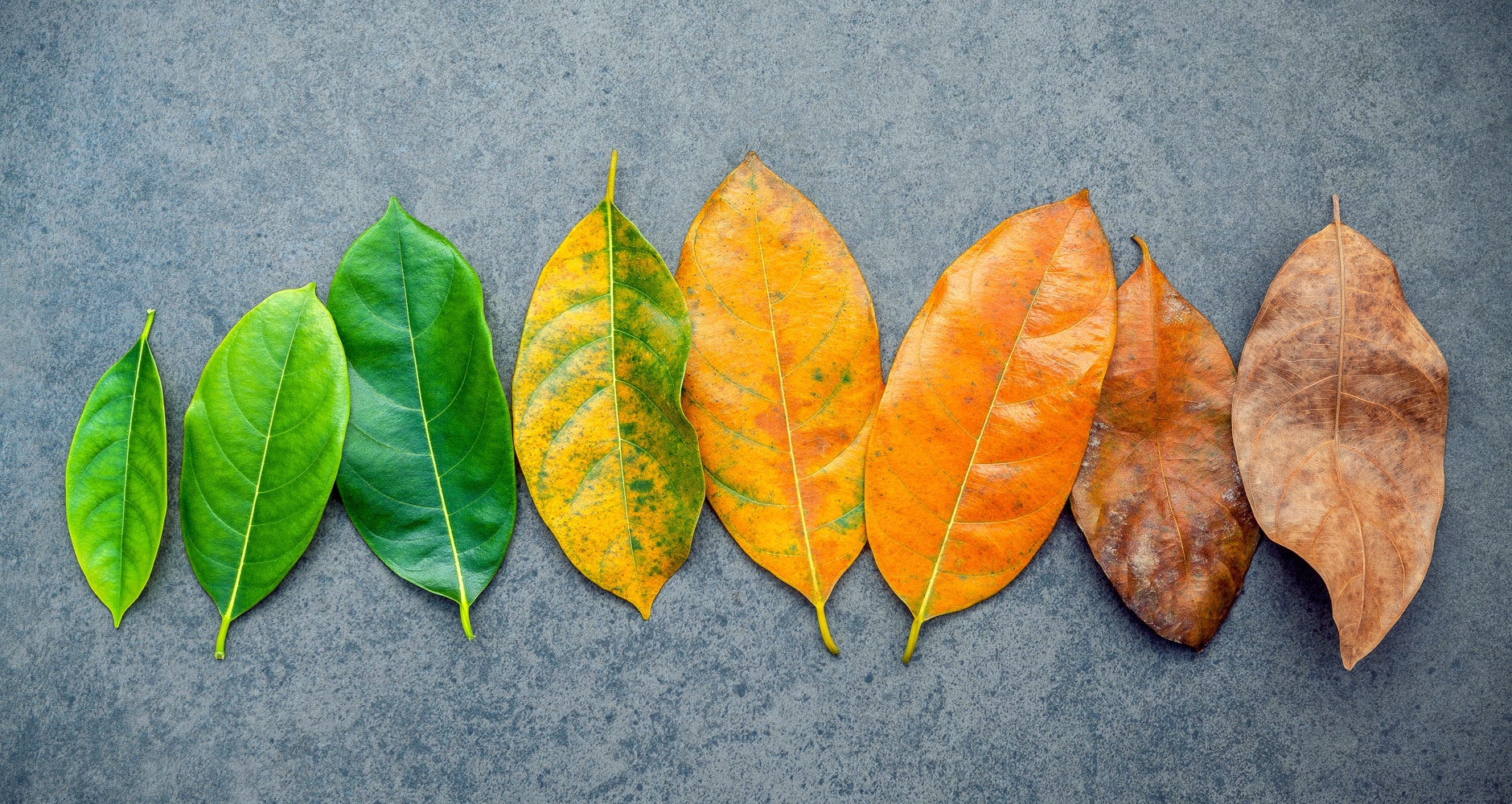 The Change Of Season How Do The Seasons Change? - Farmers' Almanac - Plan Your Day. Grow Your Life.