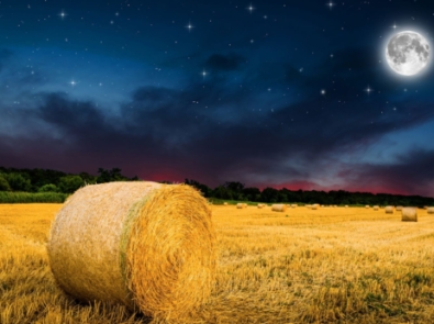 The Harvest Moon Rises 2 Days Shy of Autumn featured image