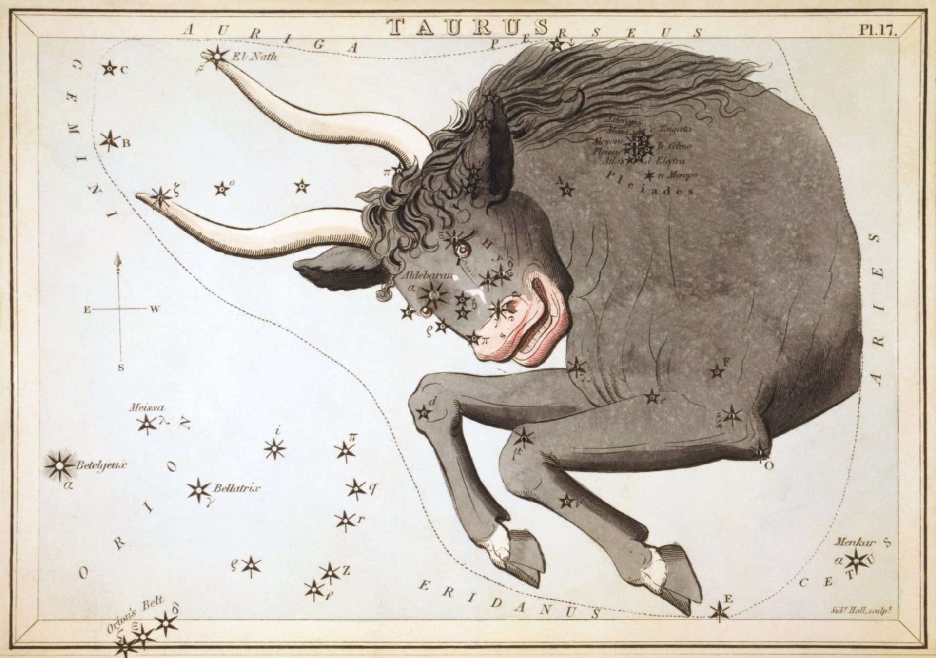 Sidney_Hall_-_Urania's_Mirror_-_Taurus