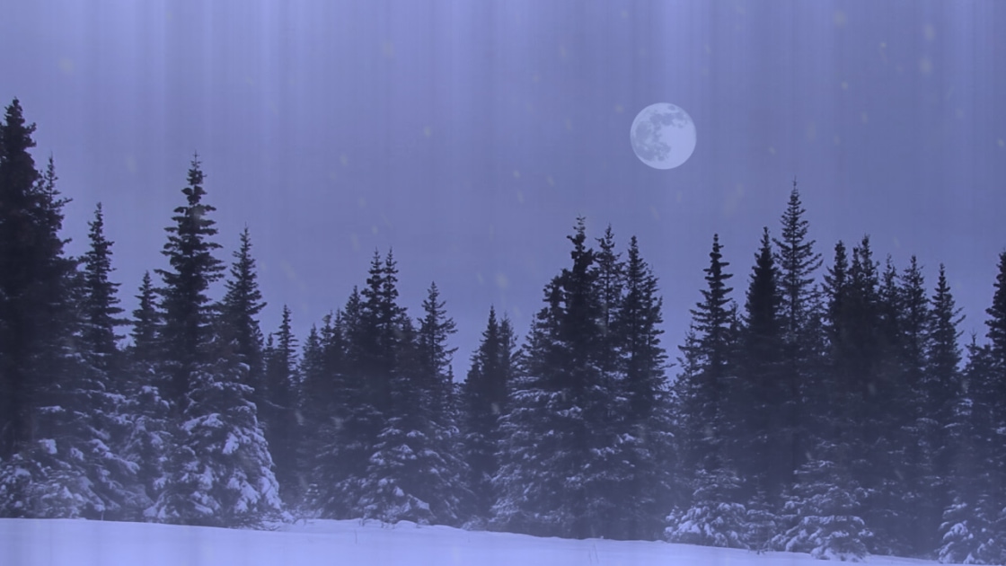 Snow - Month