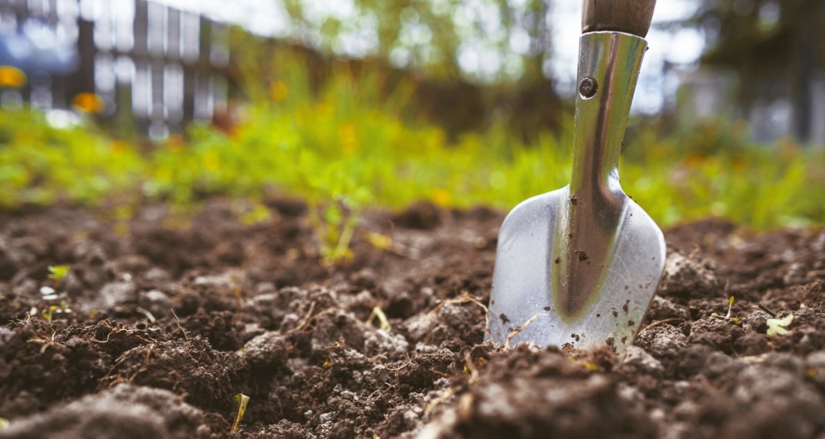 Gardening - Garden