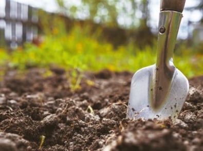 Gardening - Garden