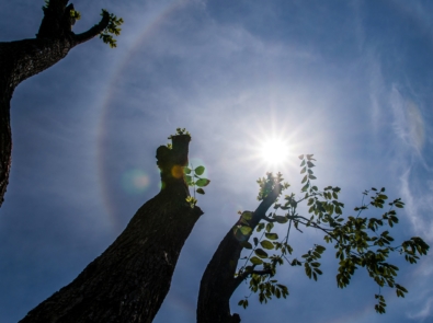 What’s A Sun Halo? featured image