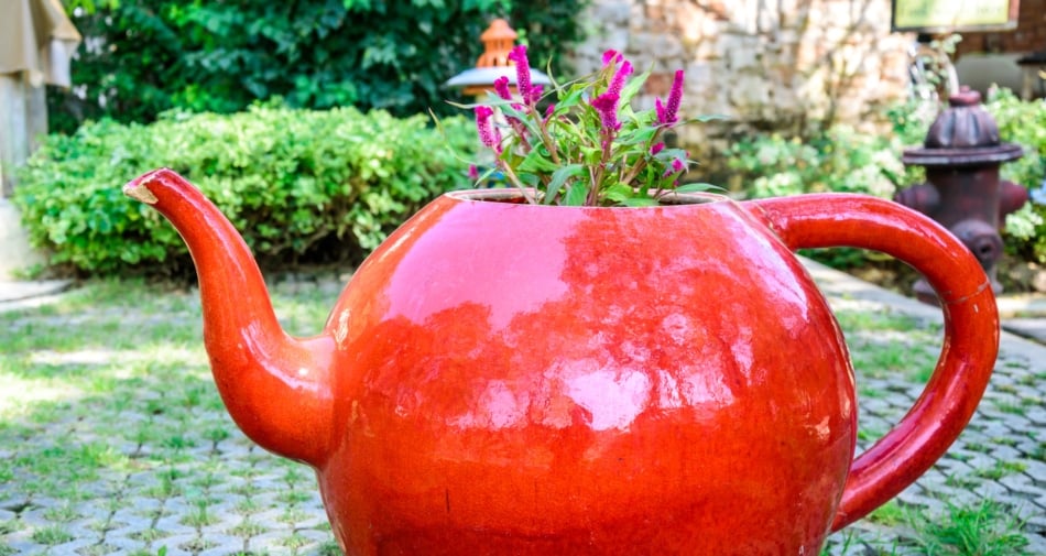 Garden - Flowerpot made from an old tea kettle