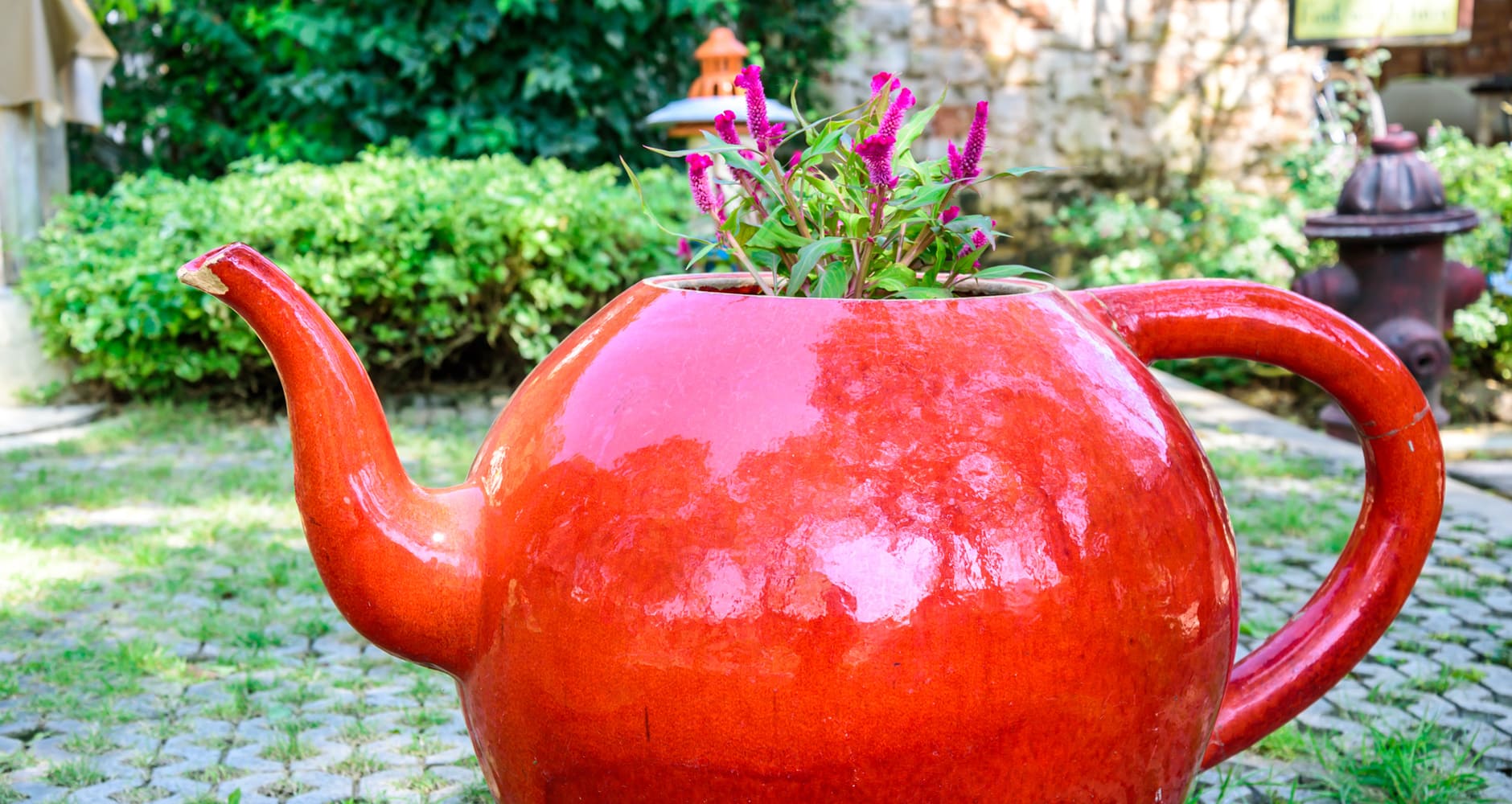 Garden - Flowerpot