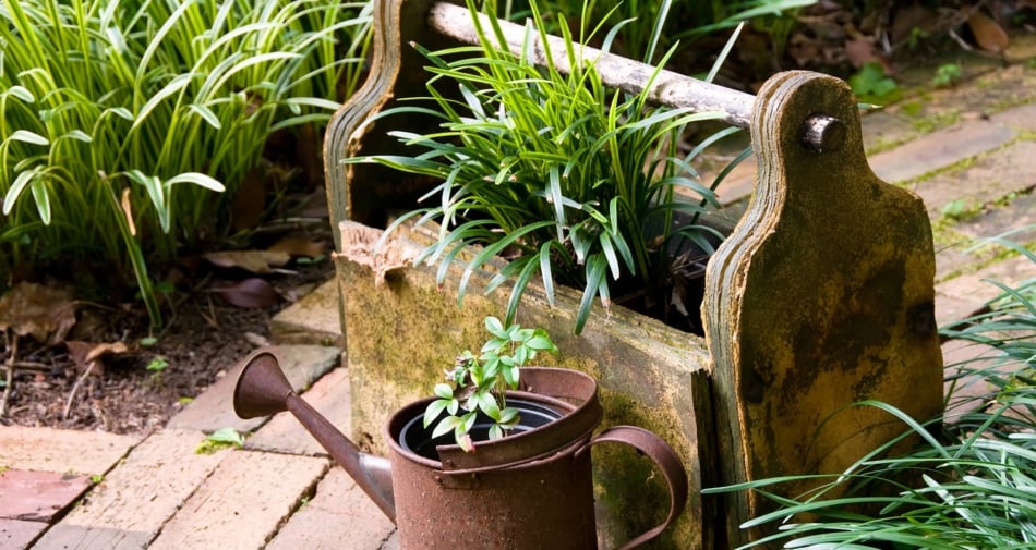 Flowerpot - Container garden