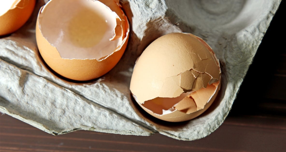 Egg - Eggshell