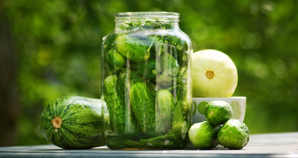 Pickled cucumber - Pickling