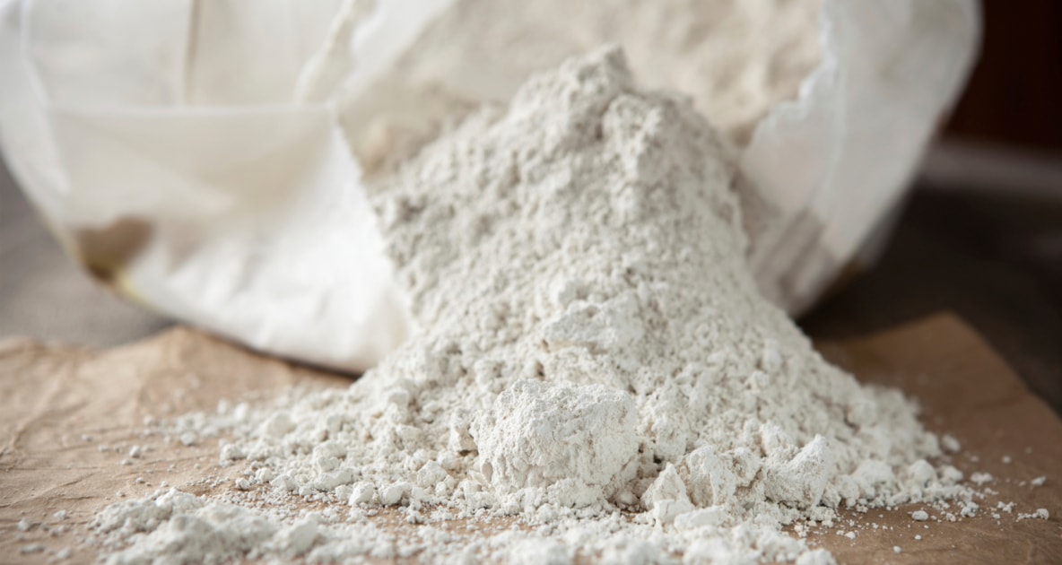 Diatomaceous earth - Pest