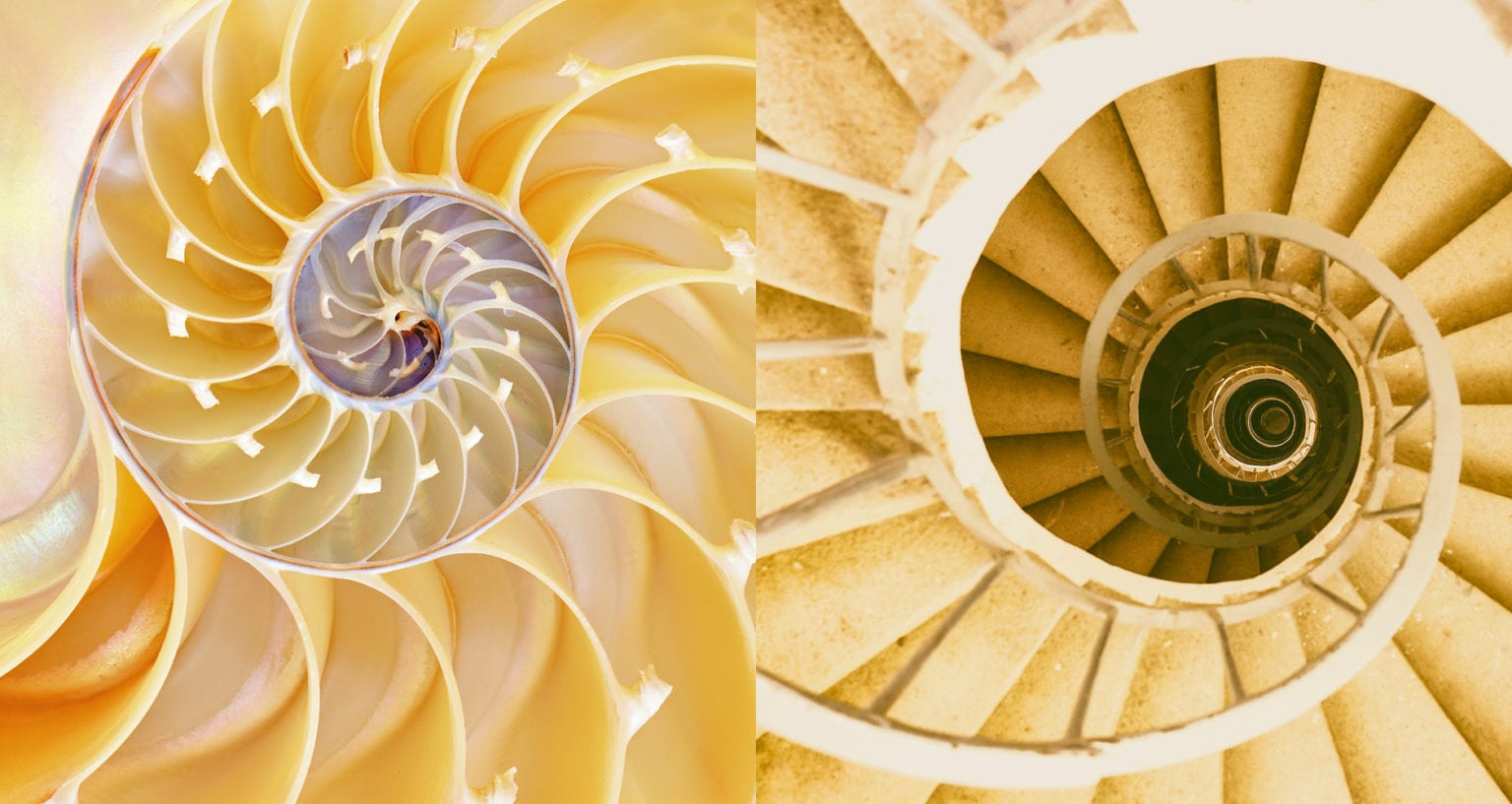 Biomimicry Emulating Nature's Designs Farmers' Almanac Plan Your