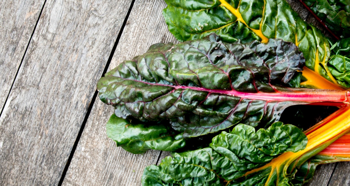 Chard - Rainbow chard