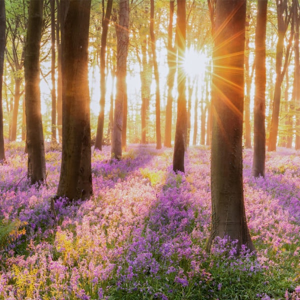 Equinox And Solstice What S The Difference Farmers Almanac