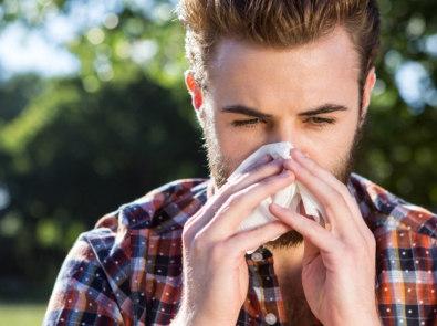 Sneezing In Winter? It Might Be Cedar Fever featured image