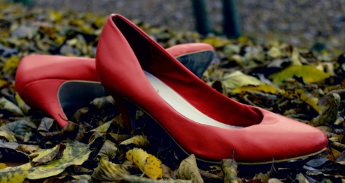 Winter - Stock photography