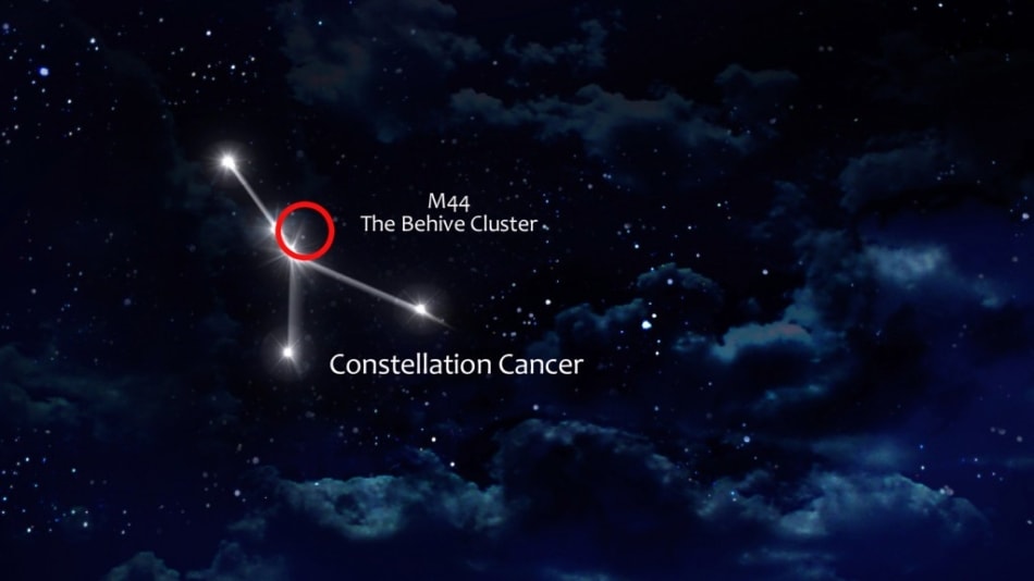 Constellation - Astrological sign