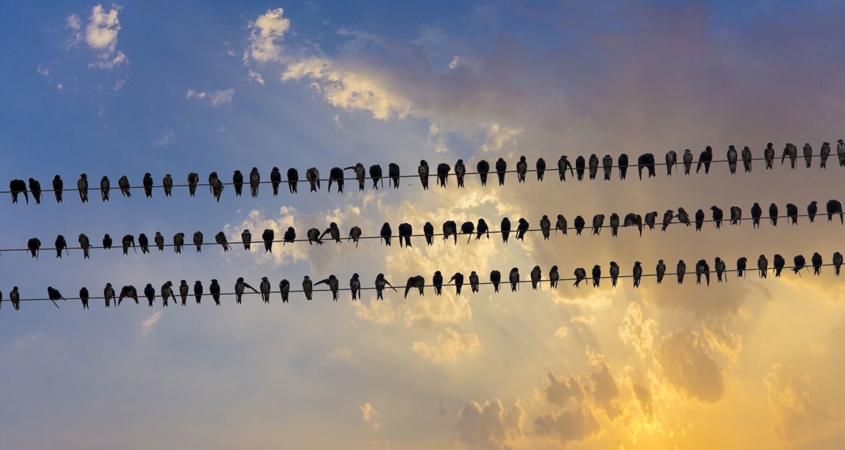 Stock photography - Can Stock Photo