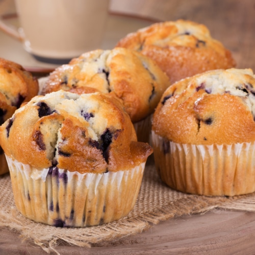 Muffin - Cupcake