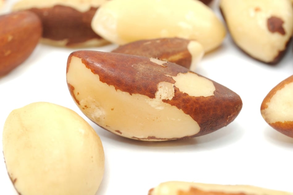 Brazil nut - Plant-based diet