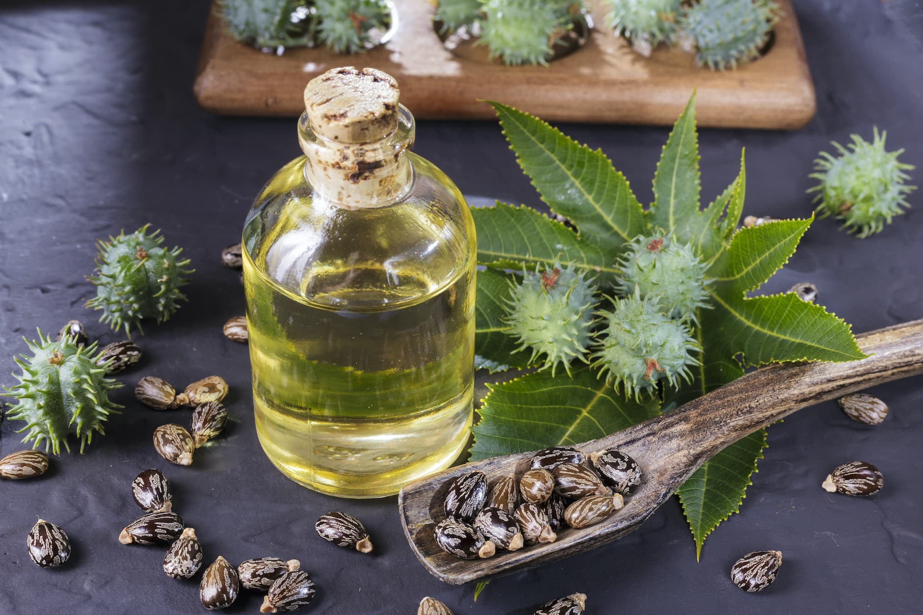 Castor Oil Health Benefits Farmers