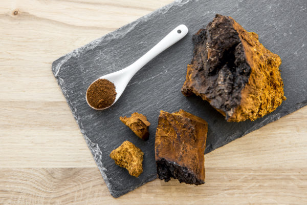 chaga mushrooms on a slate slab