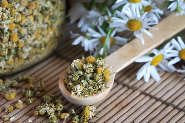 Glass jar with dried camomile near wooden spoon and daisy flowers