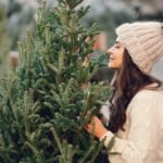 Christmas Tree - Christmas Day