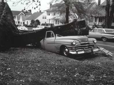 Columbus Day Storm of 1962 - Storm