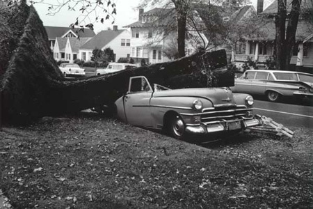 Columbus Day Storm of 1962 - Storm