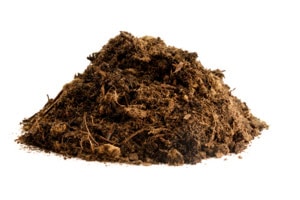 Compost - Soil