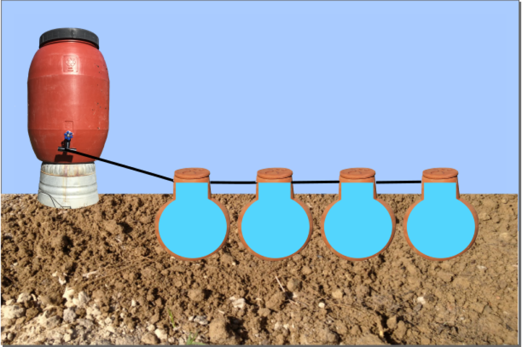 Self-watering olla DIY 