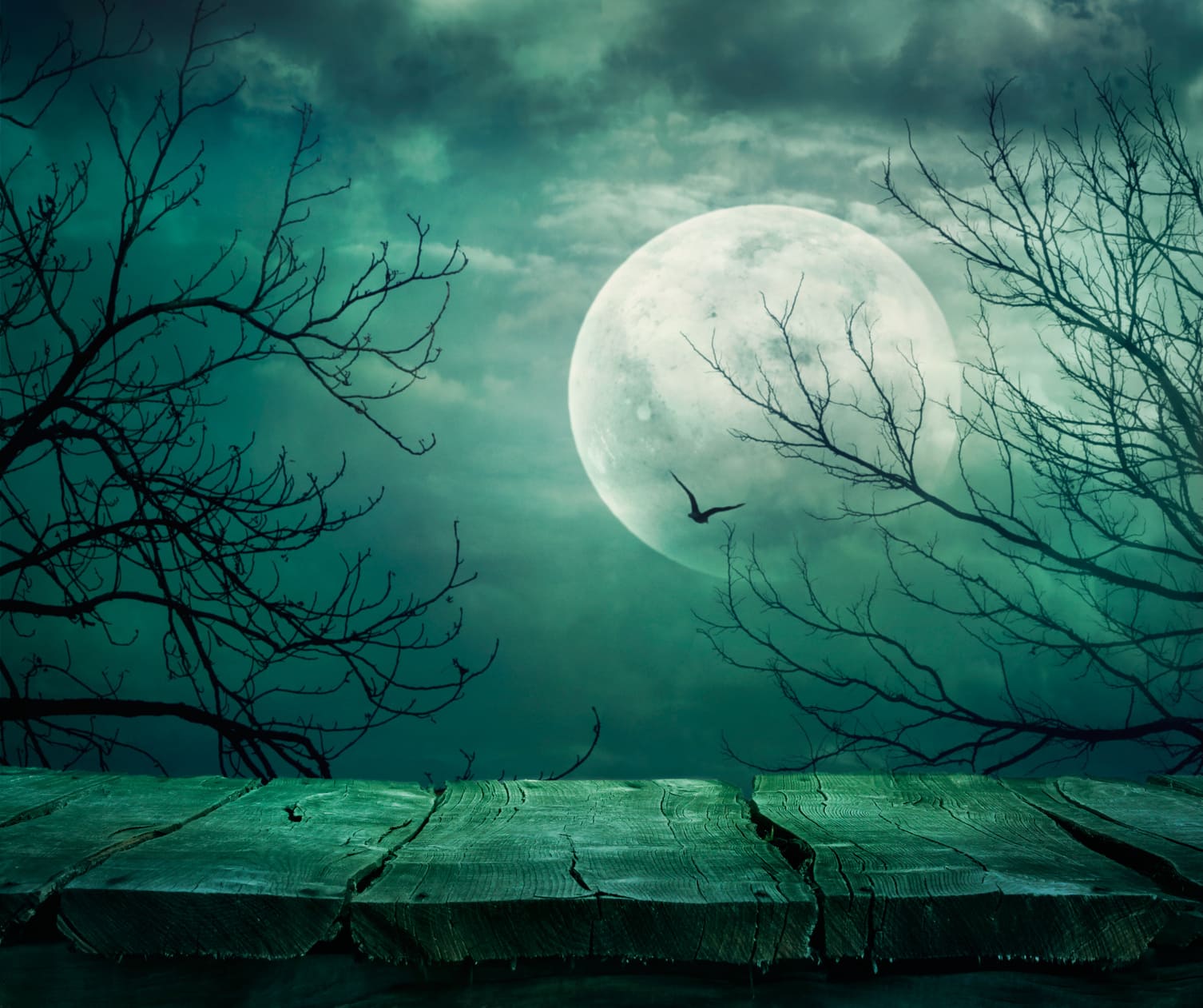 Halloween Moon Viralhub24