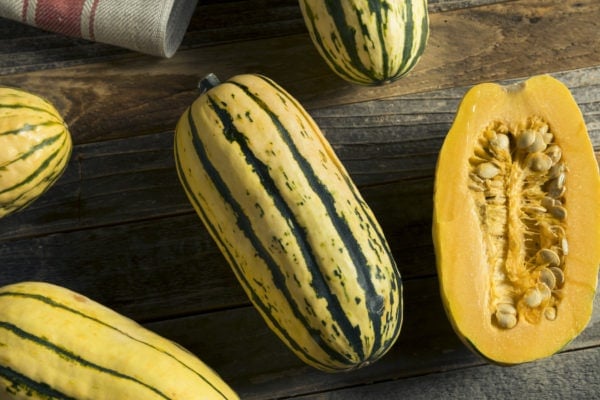 Raw Organic Delicata Squash Ready to Cook