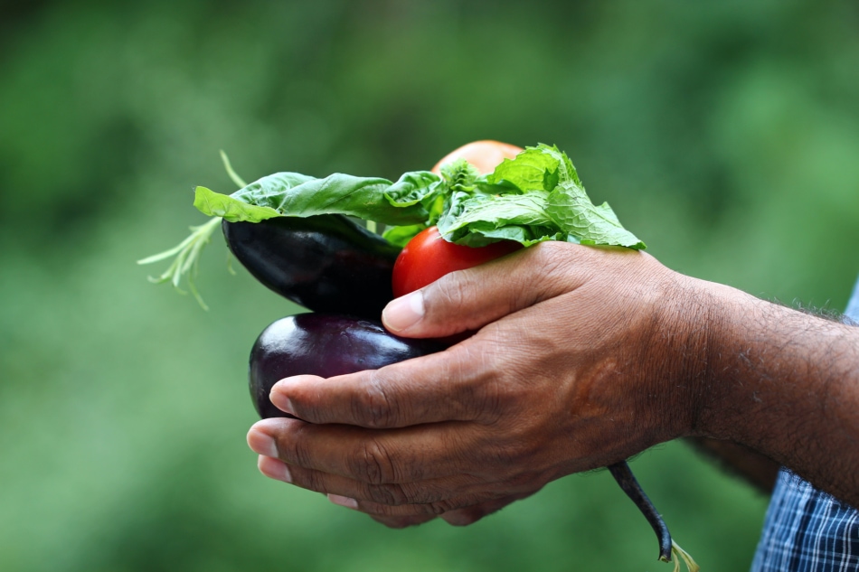 Farmers' market - Fresh food