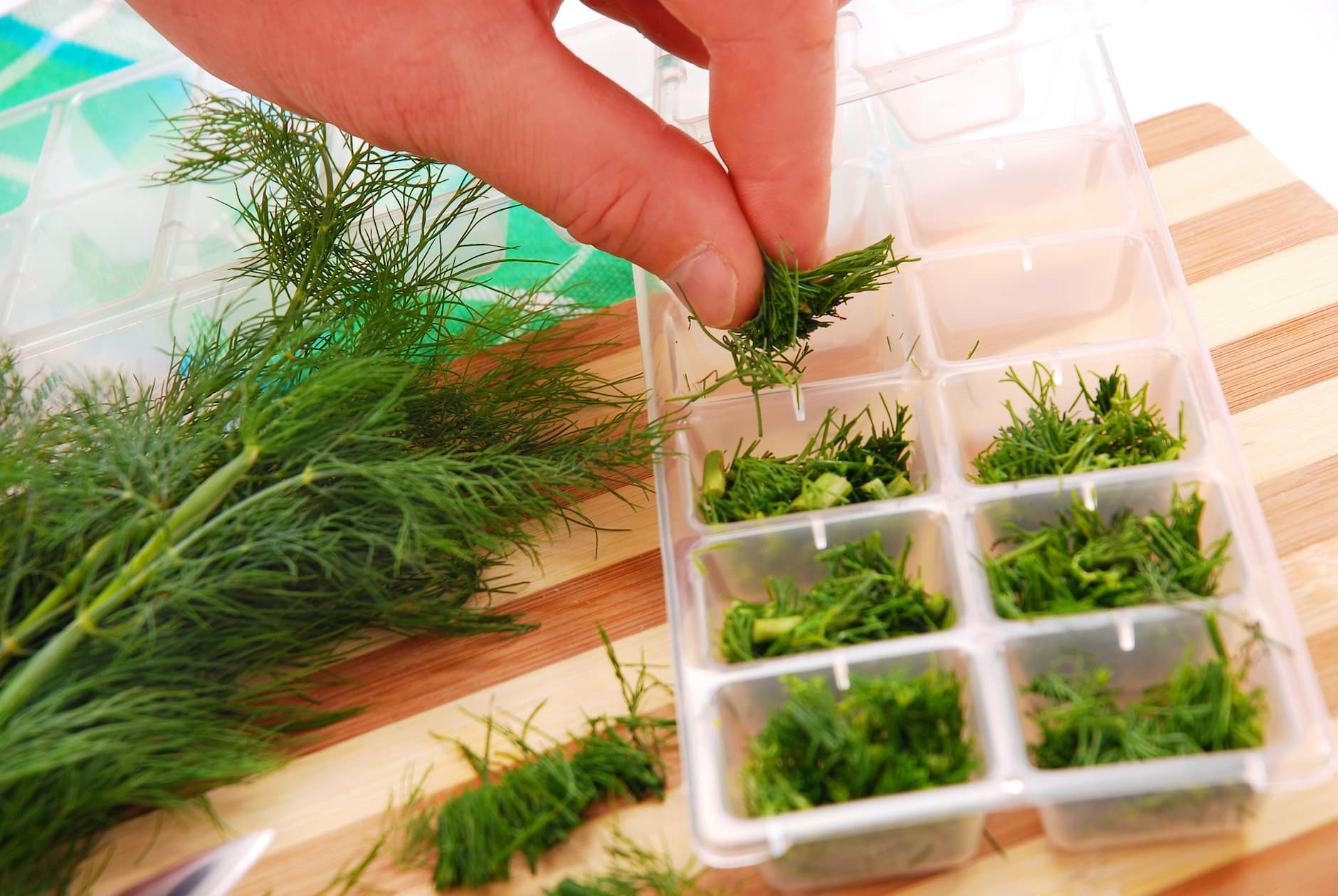 Herbs being put into containers for freezing.