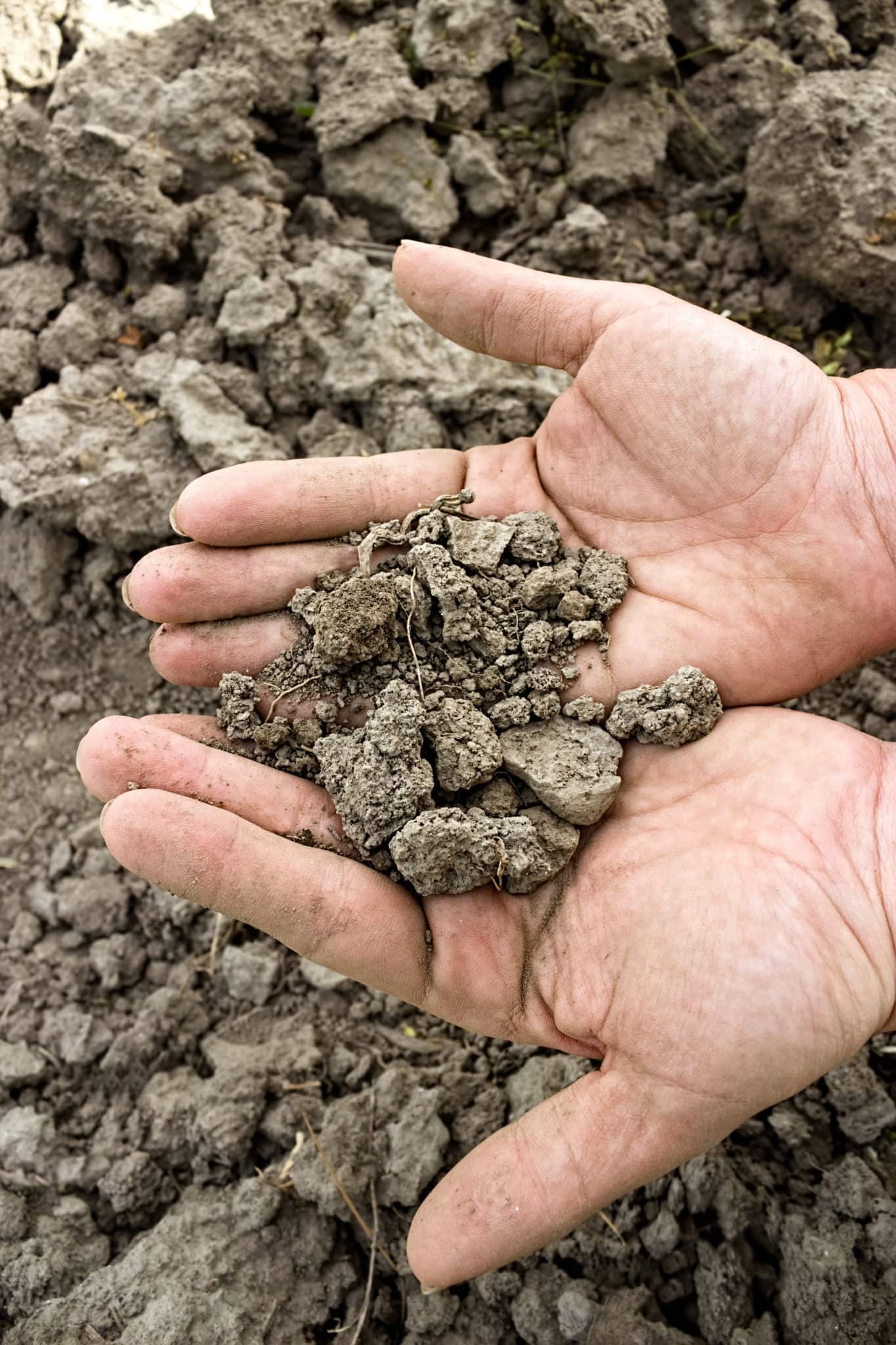 Why Does Rain Smell So Good? Farmers' Almanac Plan Your Day. Grow