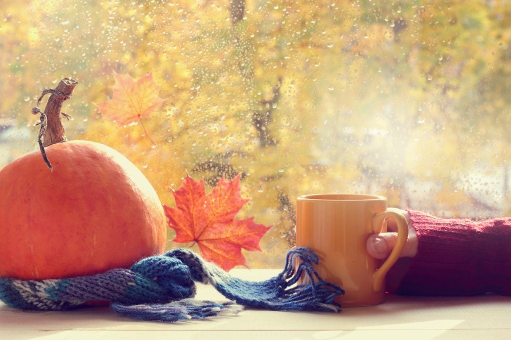 Fall Forecast 2021 When Will Sweater Weather Arrive Farmers Almanac