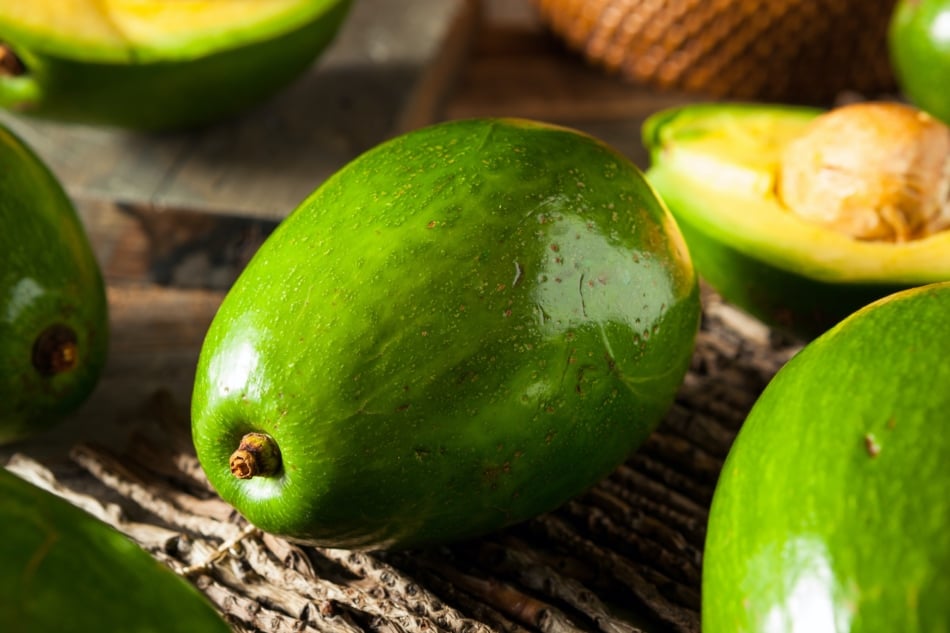 Raw green organic florida avocados, whole and chopped in half. 