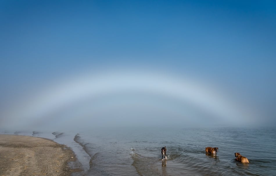 A fogbow, over the ocean, also known as a ghost rainbow.