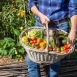 Harvest - Local food